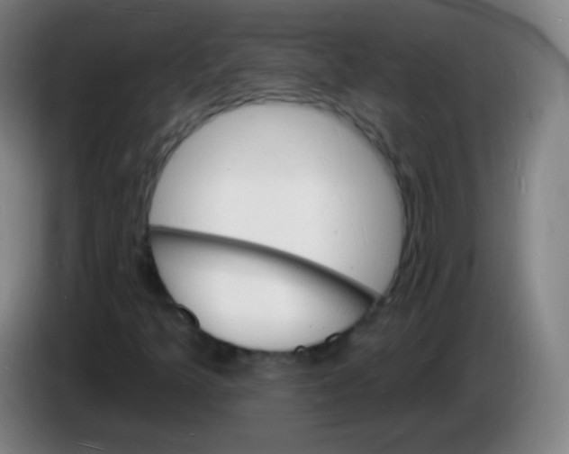 X0000085281349200703301907