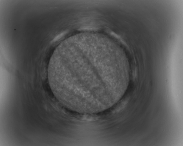 X0000085281350200703301907
