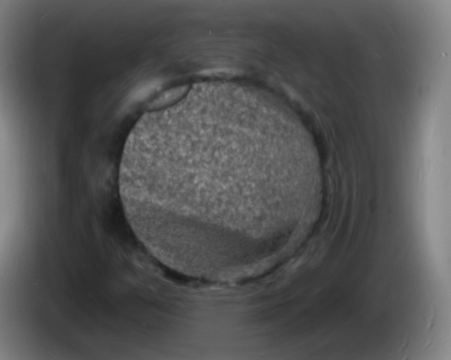 X0000085281351200703301907