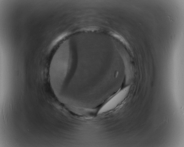 X0000085281352200703301907
