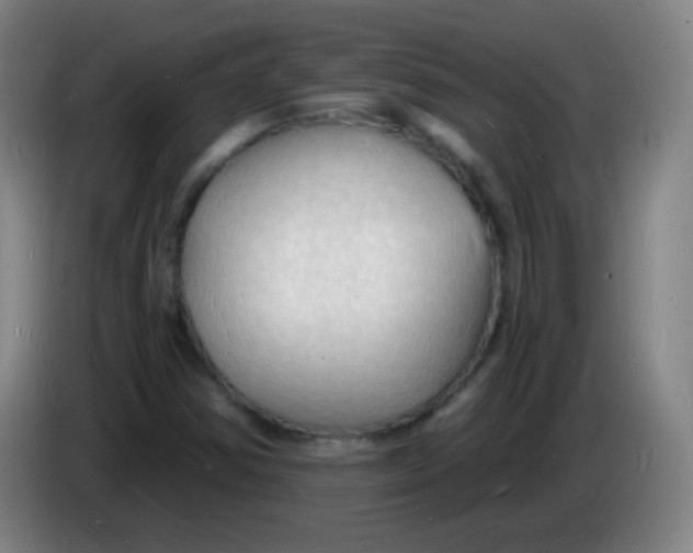 X0000085281354200703301907
