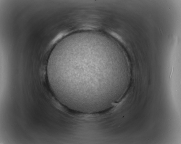X0000085281355200703301907