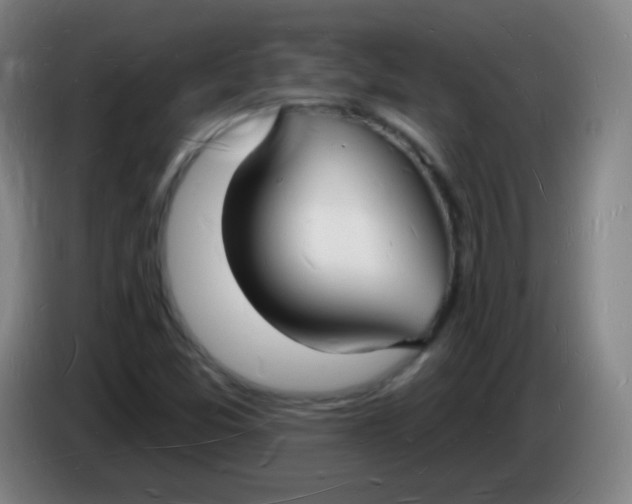 X0000085281357200703301907