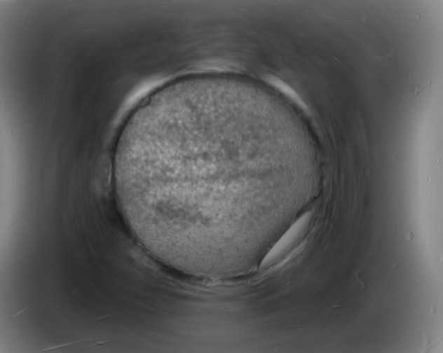 X0000085281358200703301907