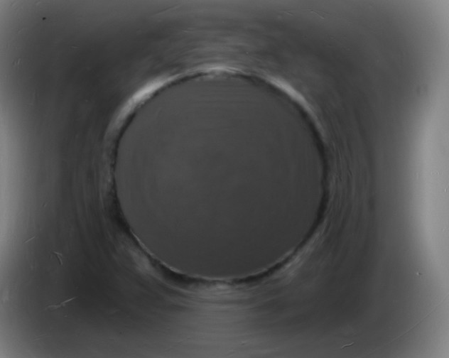 X0000085281359200703301907