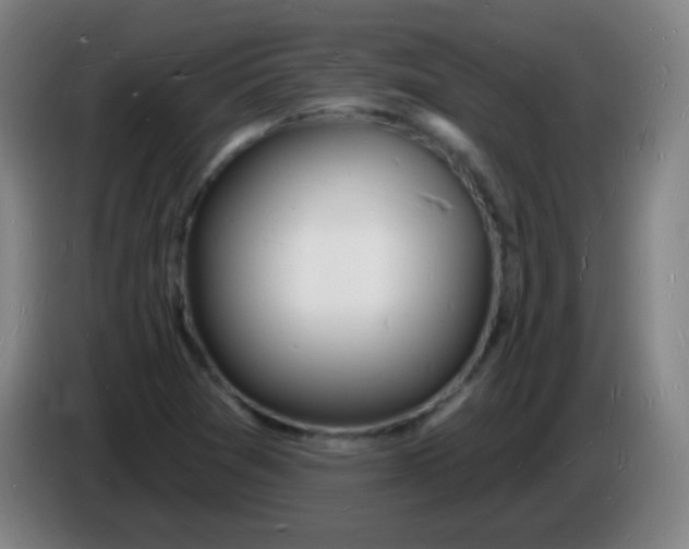 X0000085281361200703301907