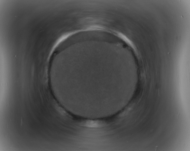 X0000085281364200703301907