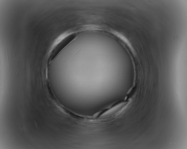 X0000085281365200703301907