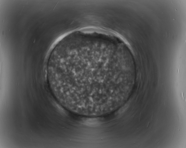 X0000085281367200703301907