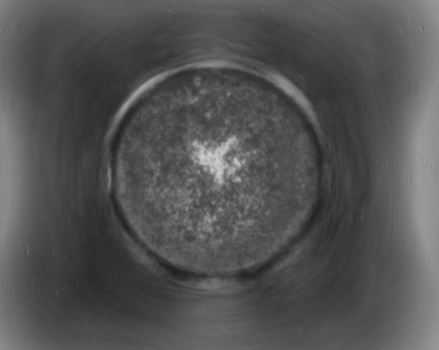 X0000085281368200703301907