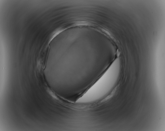 X0000085281369200703301907