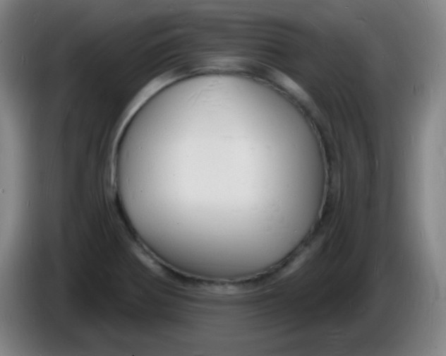 X0000085281370200703301907