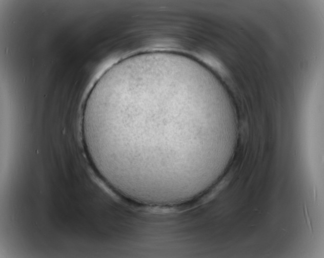 X0000085281374200703301906
