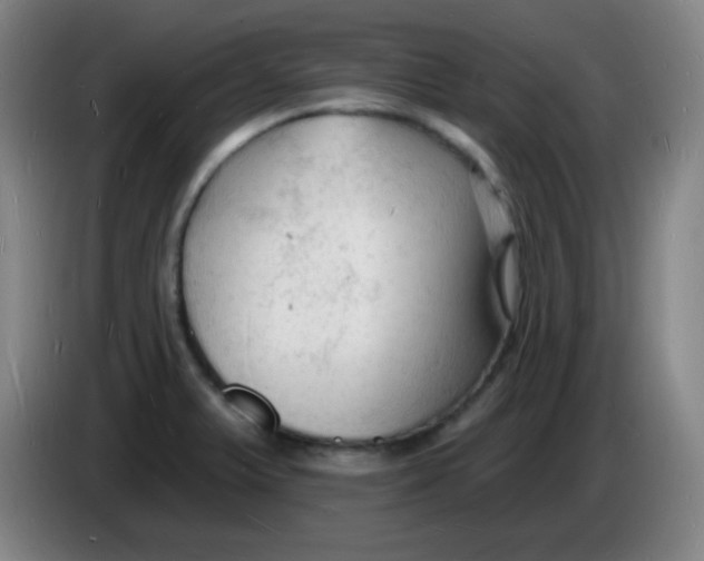 X0000085281375200703301906