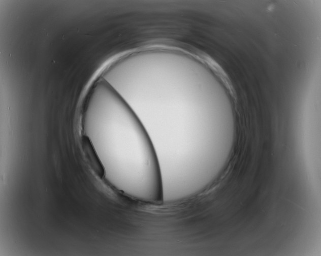 X0000085281376200703301906