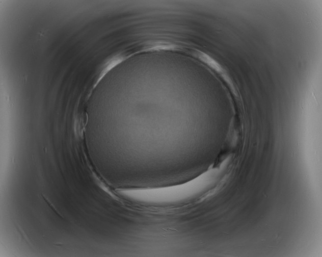 X0000085281377200703301906