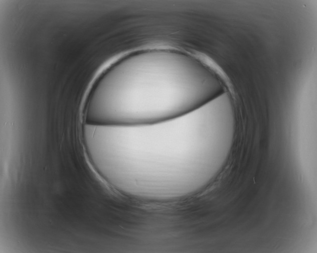 X0000085281380200703301906