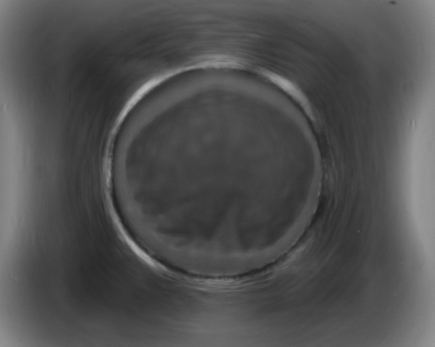 X0000085281383200703301906