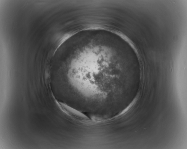 X0000085281385200703301906