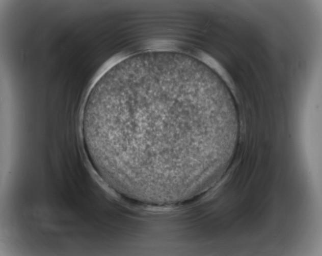 X0000085281386200703301906