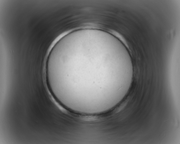 X0000085281387200703301906