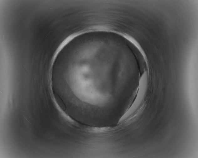 X0000085281389200703301906