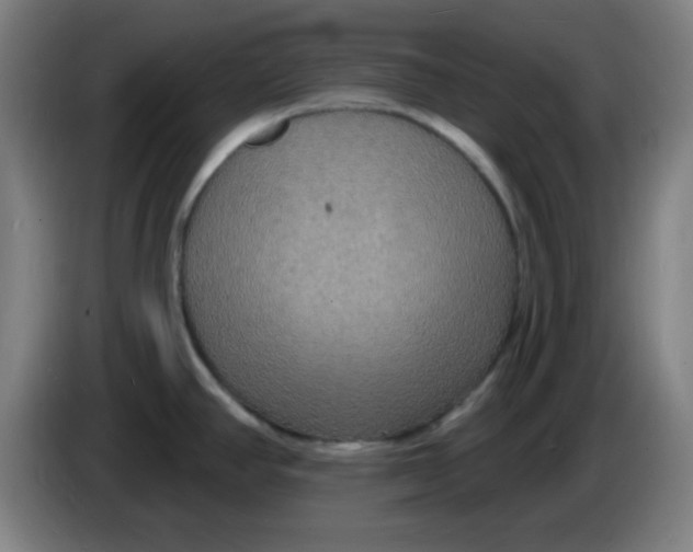 X0000085281390200703301906