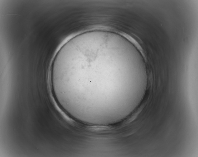 X0000085281391200703301906