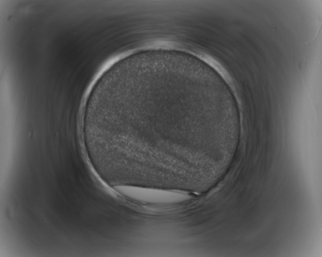X0000085281392200703301906