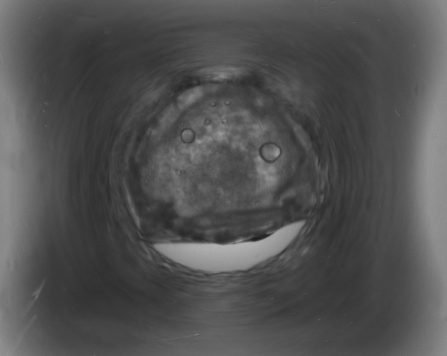 X0000085281393200703301906
