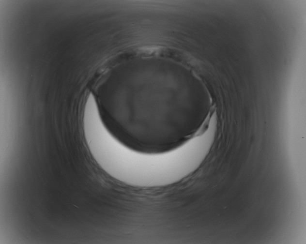 X0000085281394200703301906