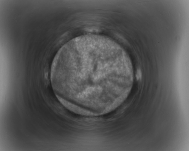 X0000085281396200703301906