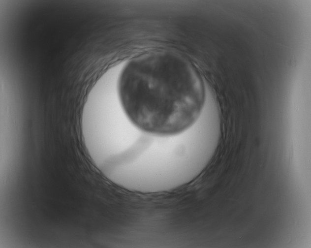 X0000085281397200703301906