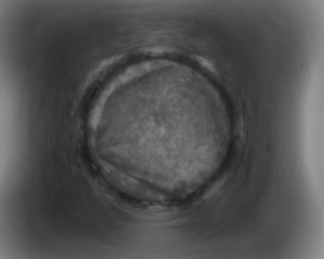 X0000085281398200703301906