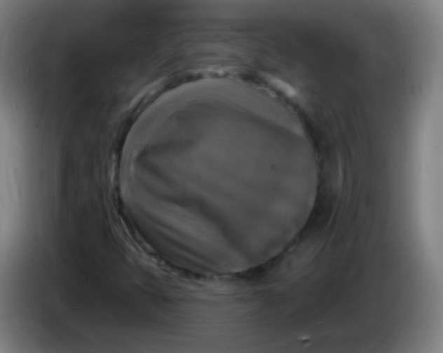 X0000085281399200703301906