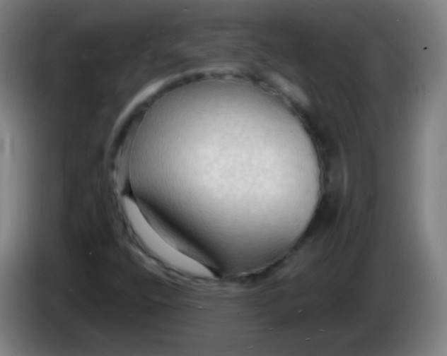 X0000085281400200703301906