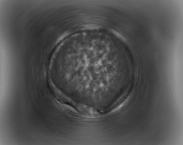 X0000085281401200703301906