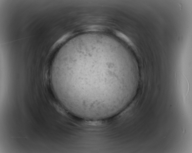 X0000085281403200703301906