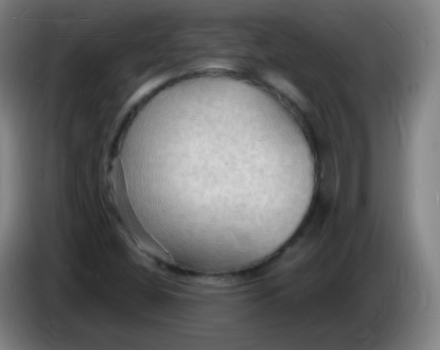 X0000085281404200703301906
