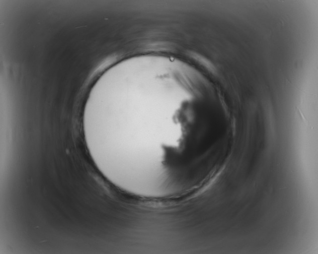 X0000085281405200703301906