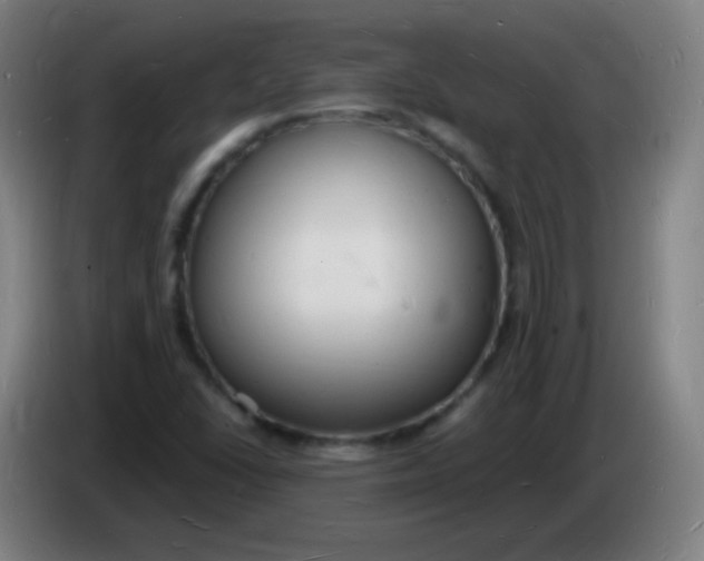 X0000085281406200703301906