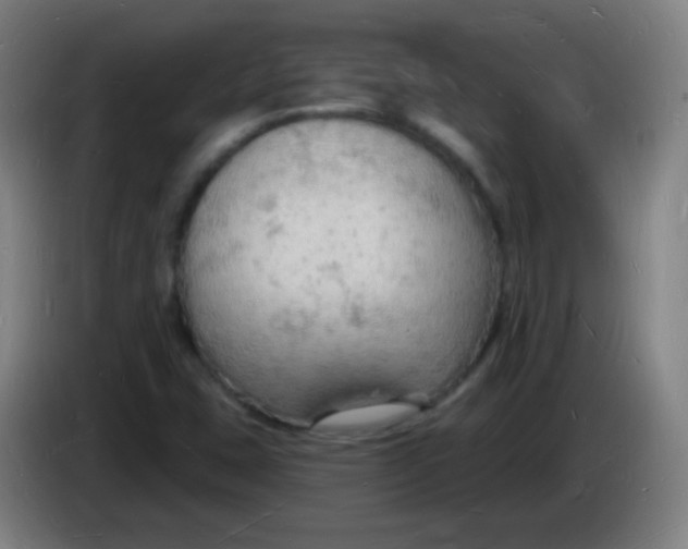 X0000085281407200703301906