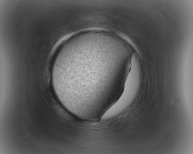 X0000085281408200703301906