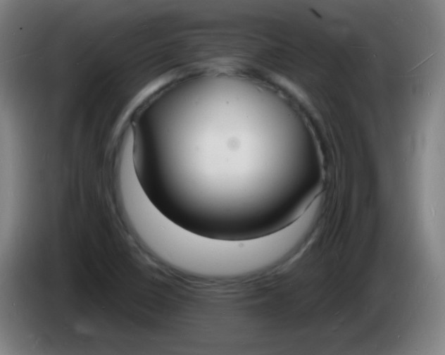 X0000085281410200703301906