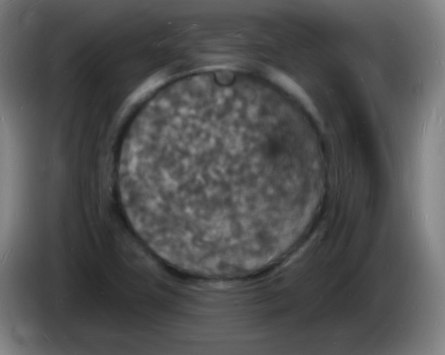 X0000085281411200703301906