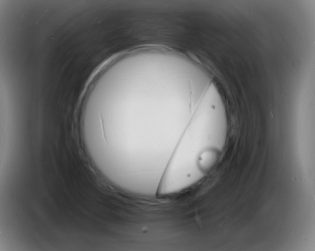X0000085281412200703301906