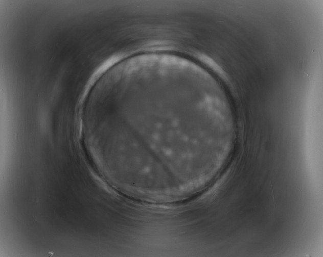 X0000085281413200703301906