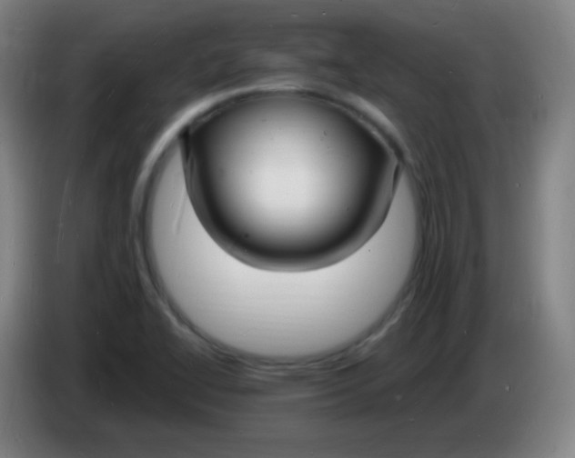 X0000085281414200703301906