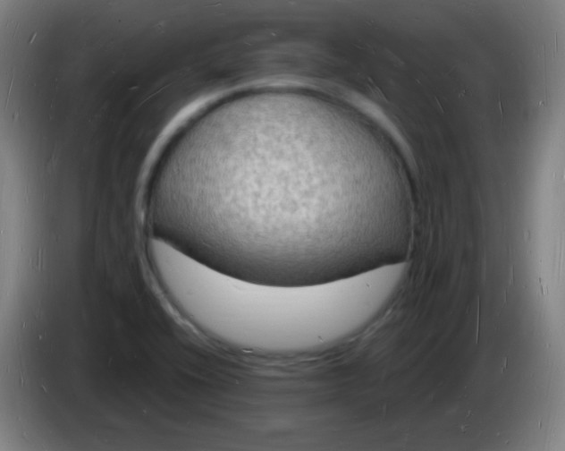 X0000085281416200703301906