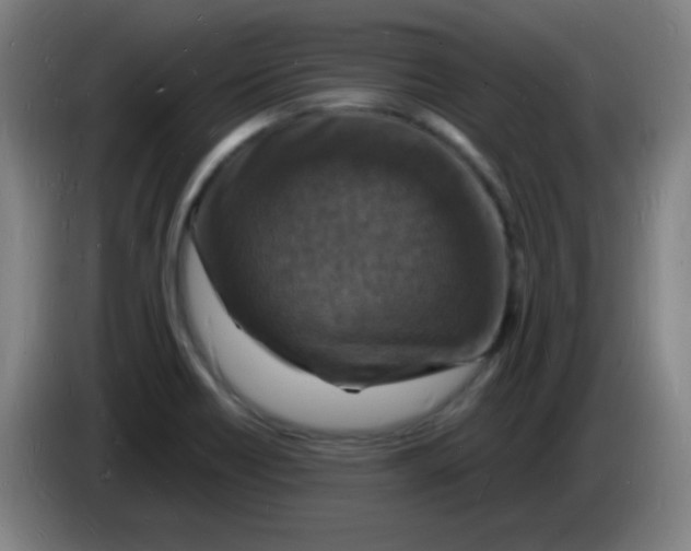 X0000085281418200703301906